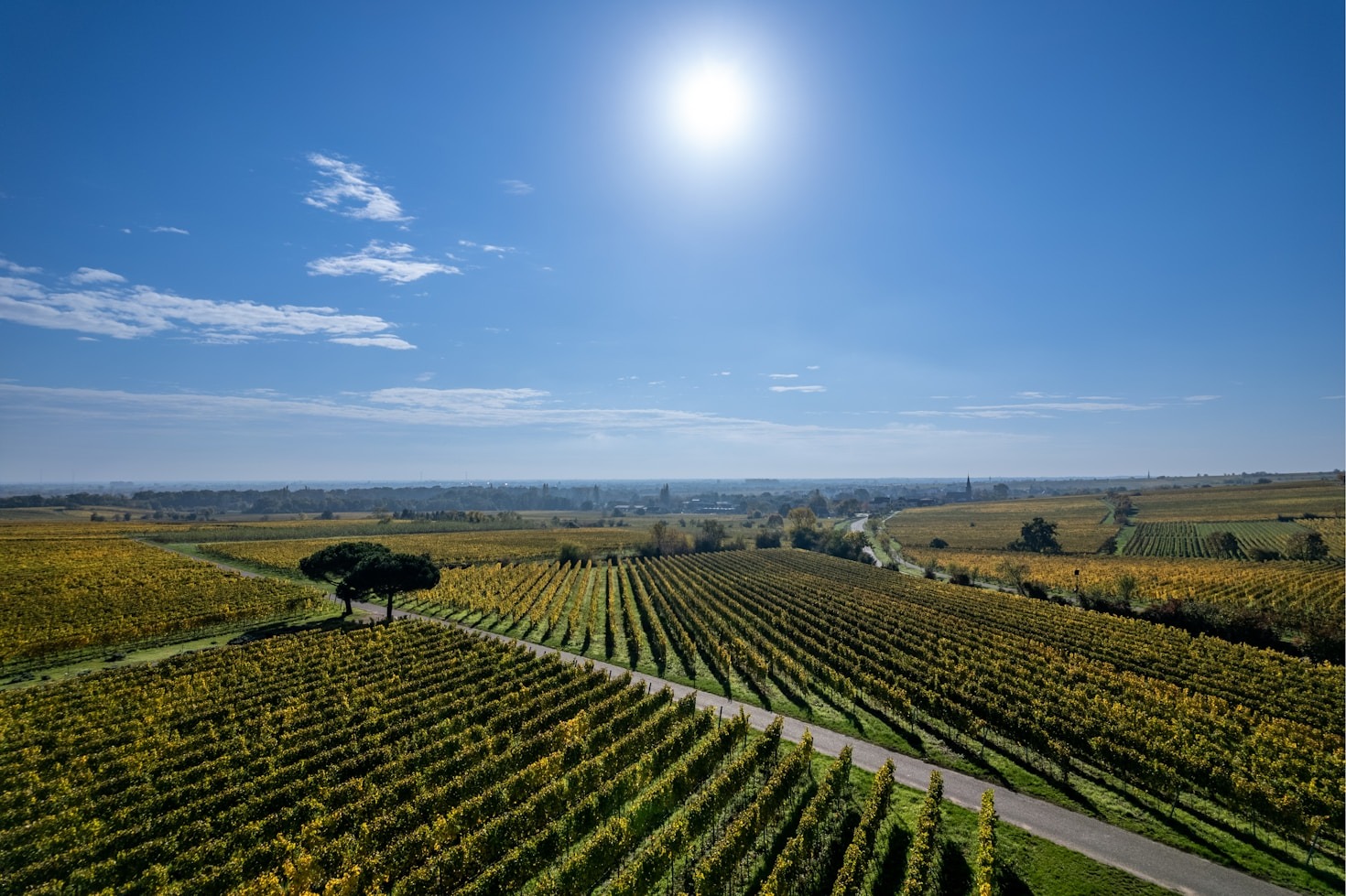 A importância da conexão no setor agropecuário